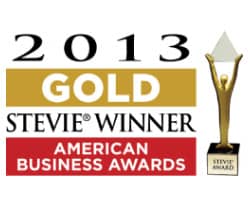 2013 gold stevie winner_american business awards